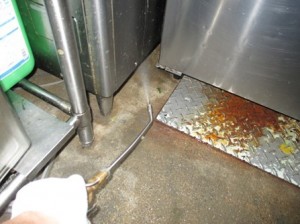 大阪市北区　イタリアンバル　ゴキブリ駆除　厨房　薬剤処理