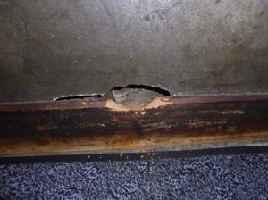 客席 壁面にネズミの侵入出来る穴